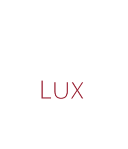 Lux Baggage Birkin For Sale